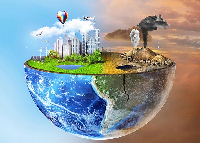 Soil Pollution Effects on the Ecosystem